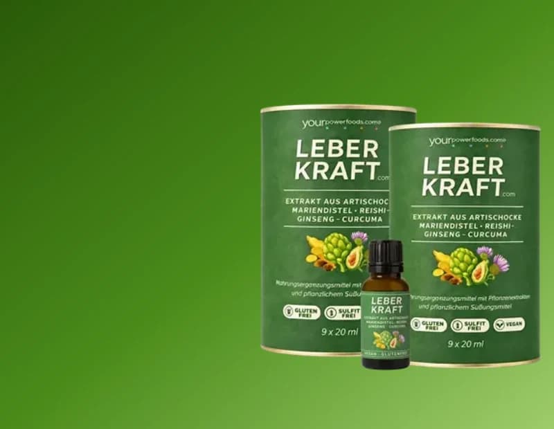 Leber und Darm