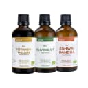 Pflanzliche Auszeit Bundle - Ashwagandha · Zitronenmelisse · Olivenblatt