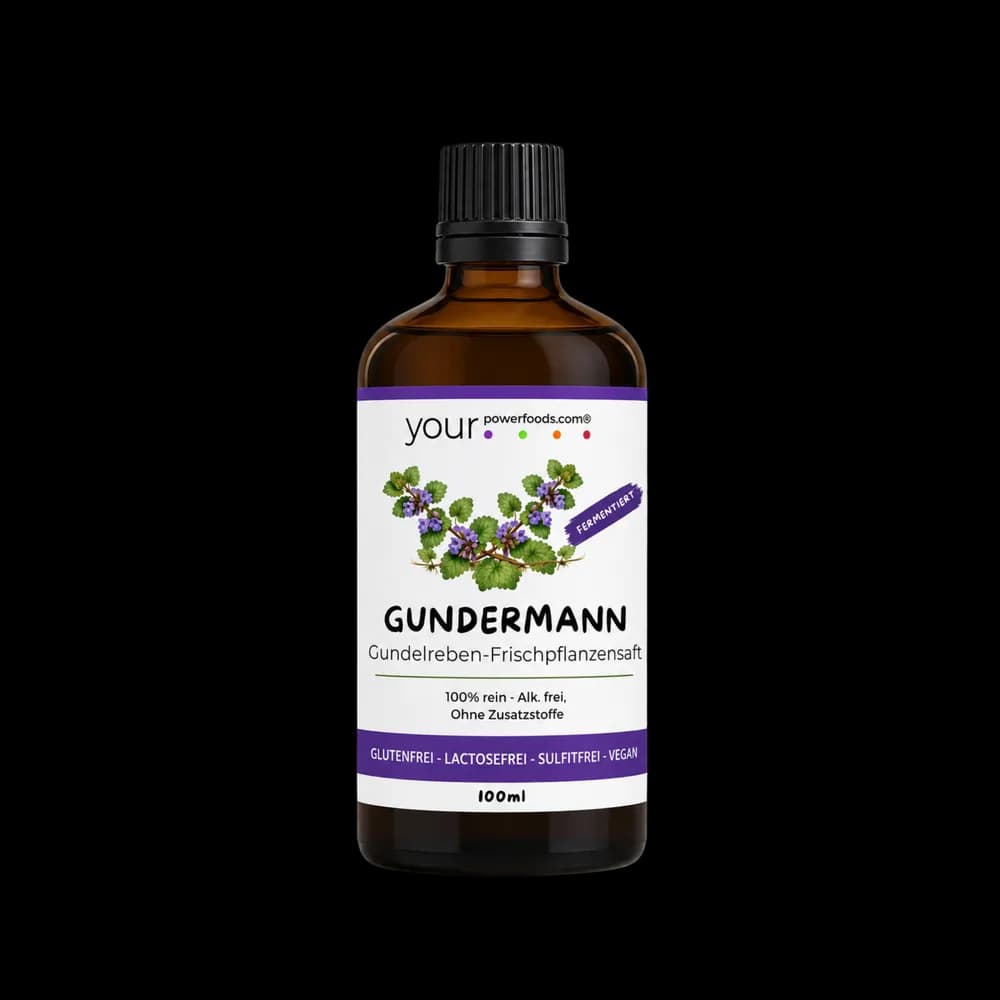 Gundermann - Elixier, fermentiert, 100 ml