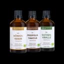Immun Balance Bundle - Königskerze, Katzenkralle & Propolis
