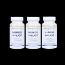 Mumijo Shilajit – 500 mg po kapsuli, povoljni set 2+1 gratis