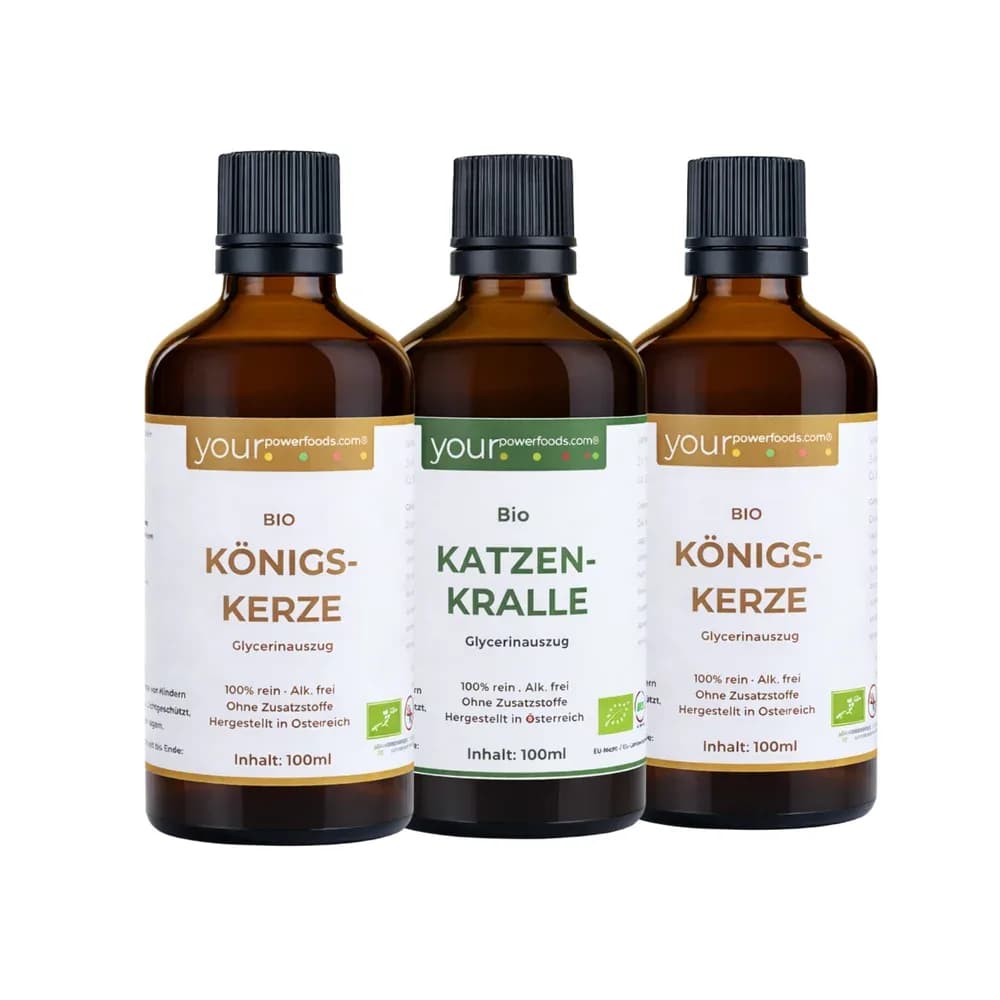 Saisonales Pflanzenbundle für  Winter & Frühling