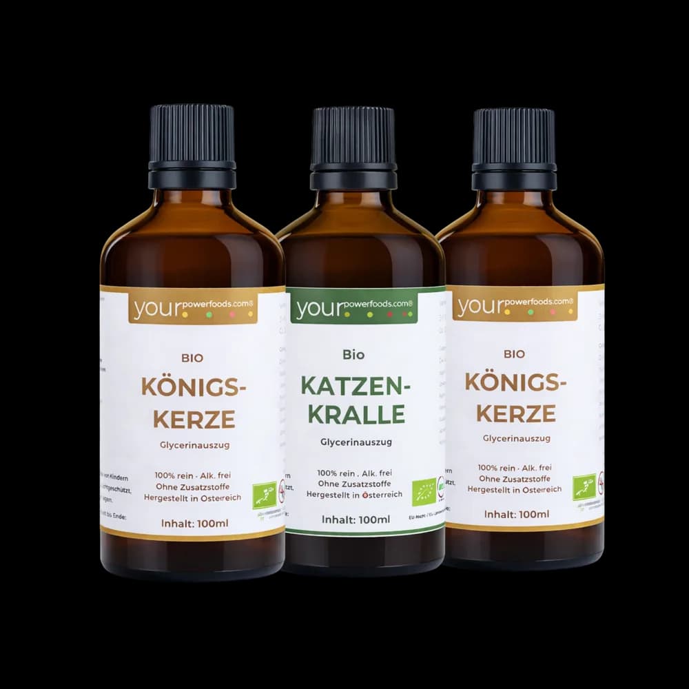 Saisonales Pflanzenbundle für  Winter & Frühling