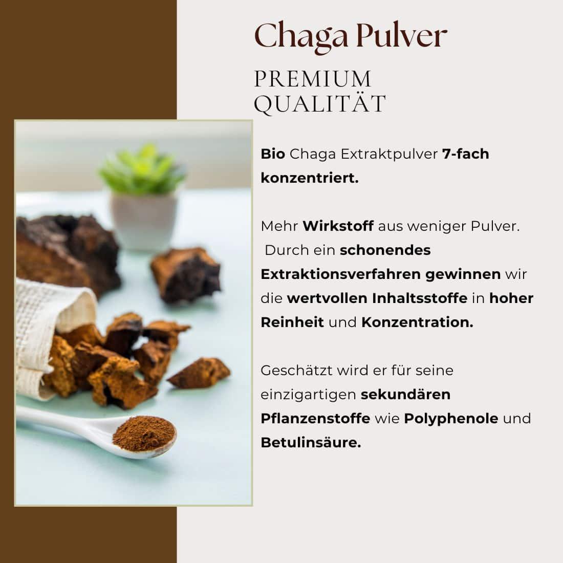 Chaga Extrakt Pulver Bio, 7 - Fach hoch konzentriert, 100g
