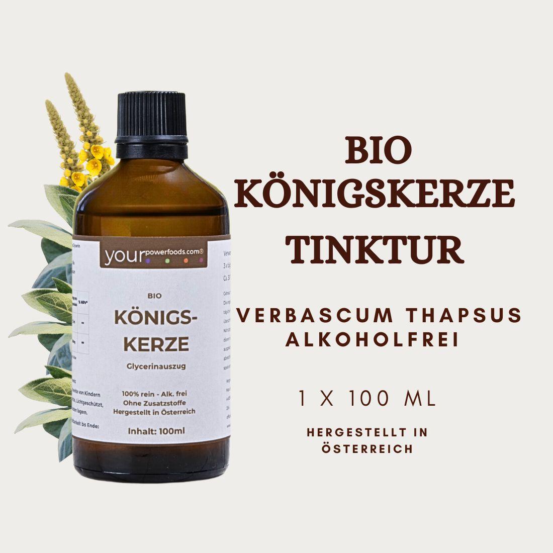 Saisonales Pflanzenbundle für  Winter & Frühling