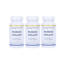 Mumijo Shilajit – 500 mg po kapsuli, povoljni set 2+1 gratis