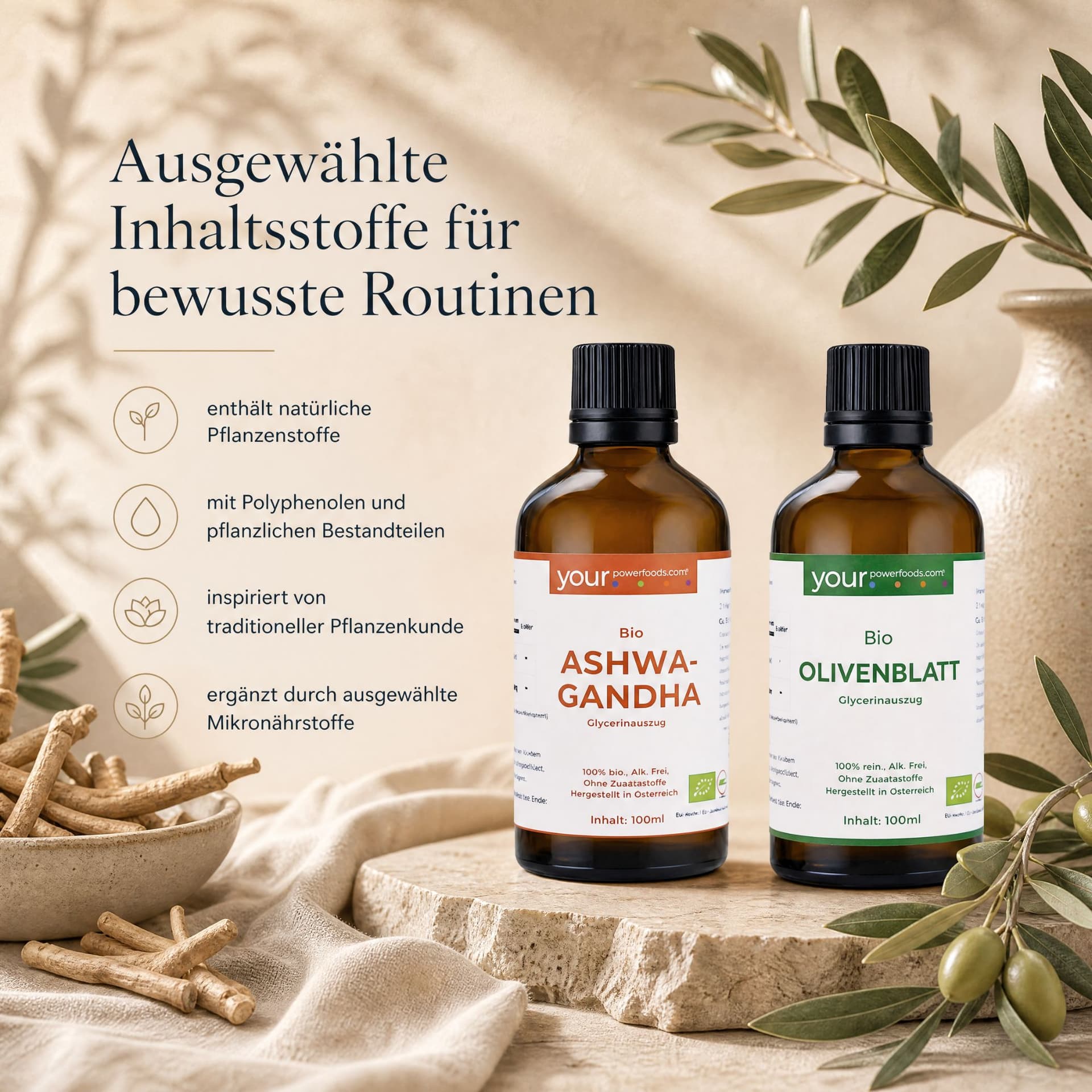 Balance Blutdruck-Bundle