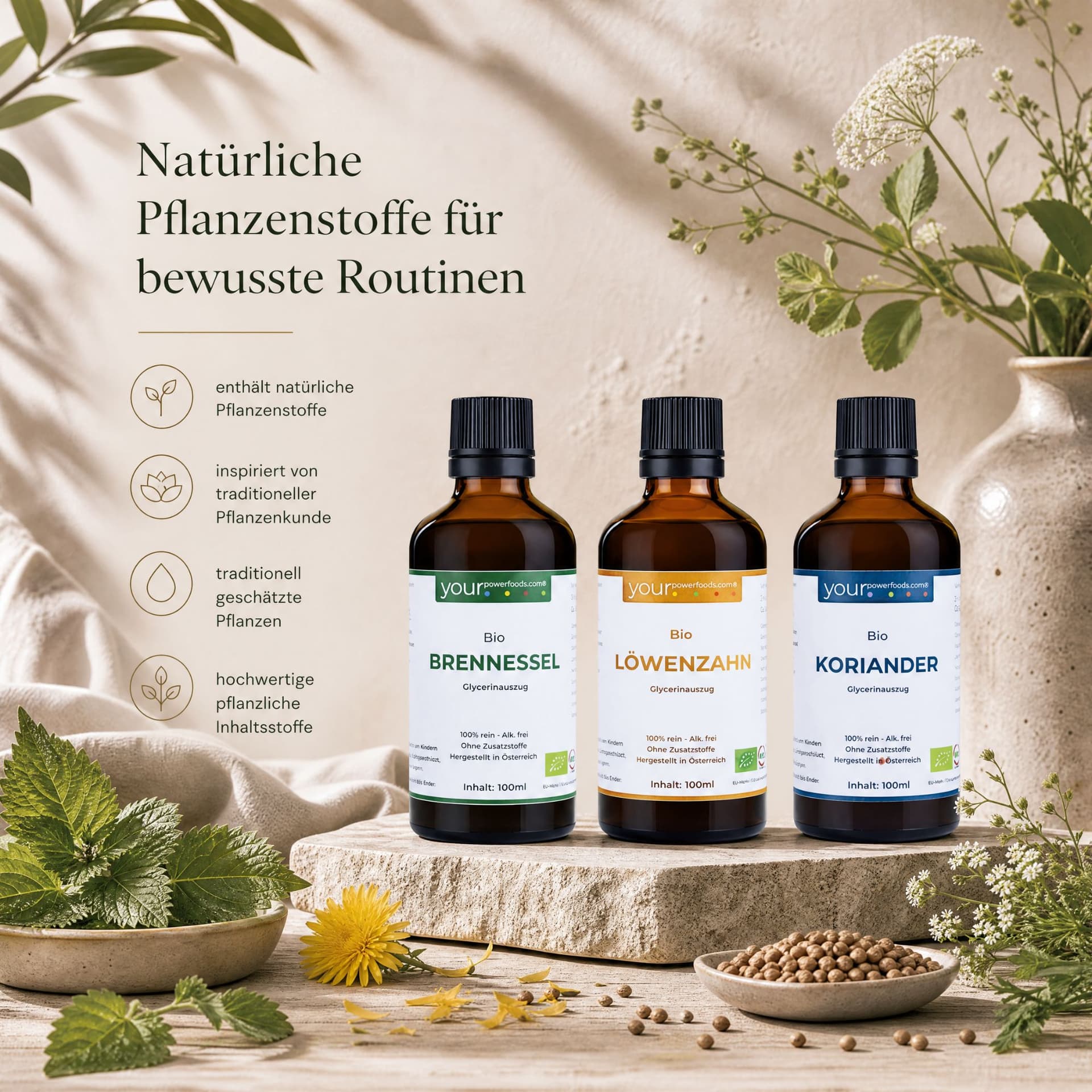Detox Balance Bundle