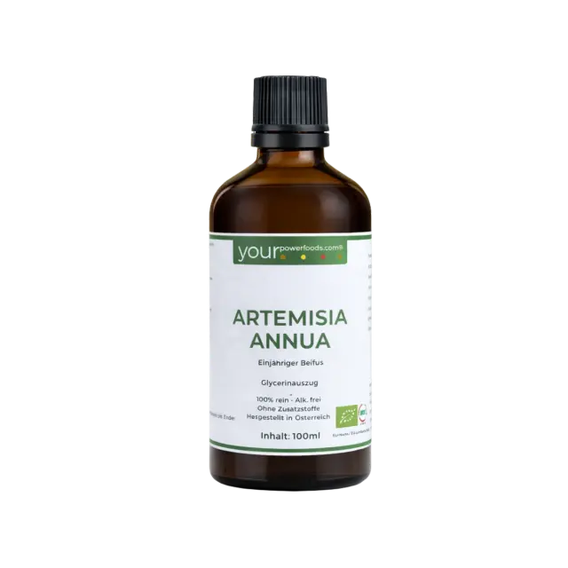 Artemisia Annua, Einjähriger Beifuss, alkoholfrei, 100ml