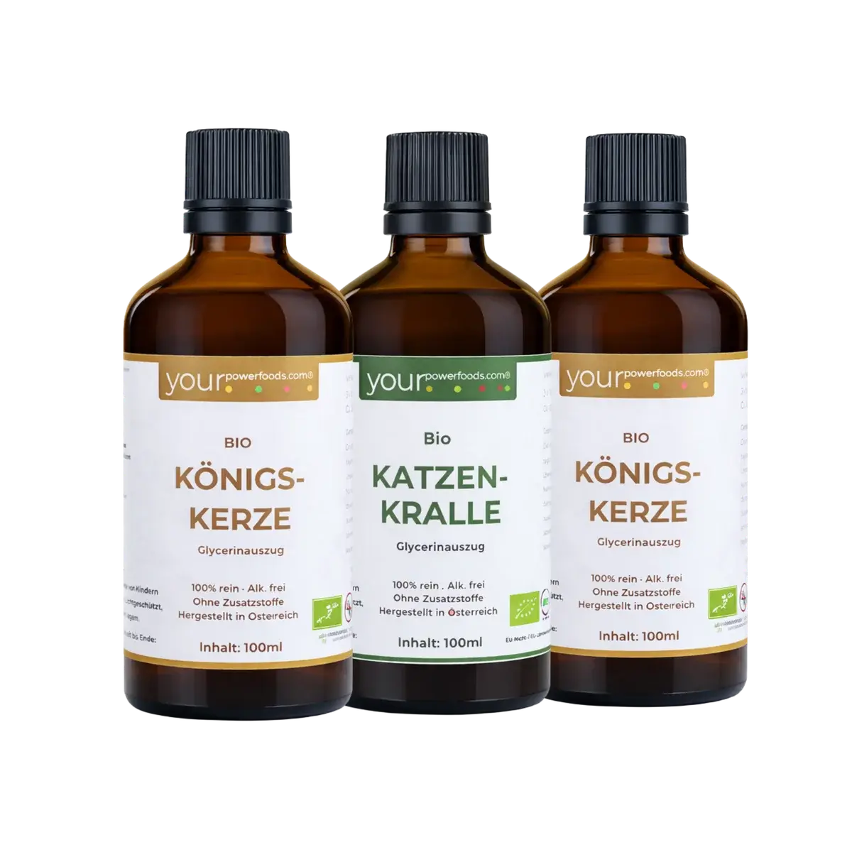 Saisonales Pflanzenbundle für Winter & Frühling