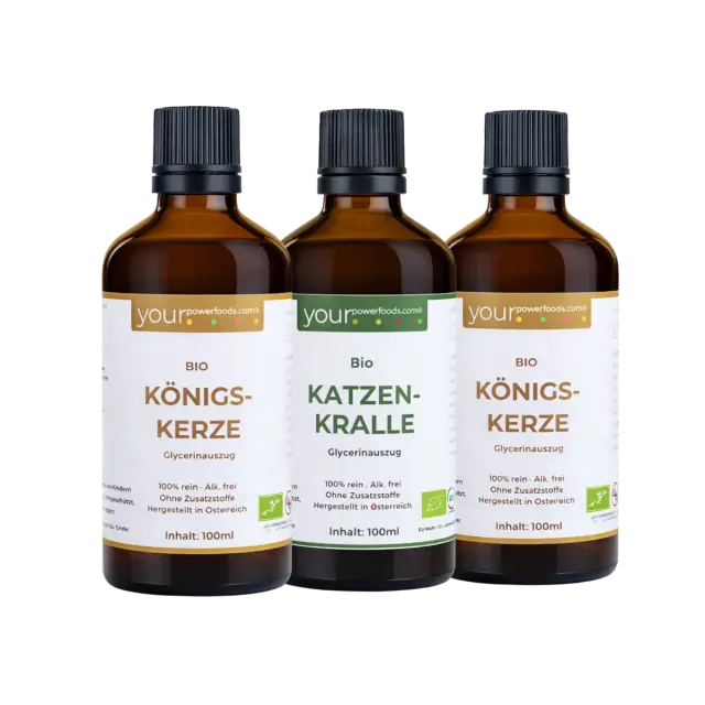 Saisonales Pflanzenbundle für Winter & Frühling