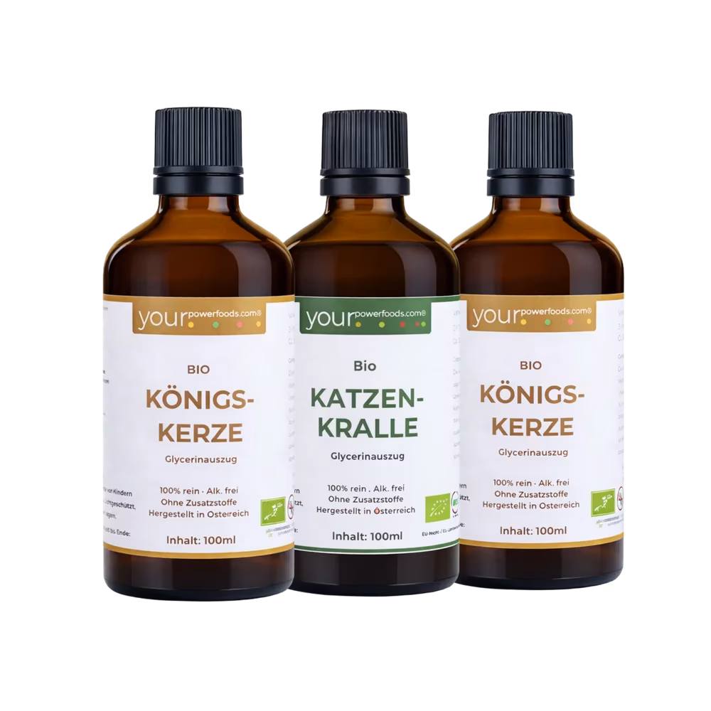 Saisonales Pflanzenbundle für Winter & Frühling