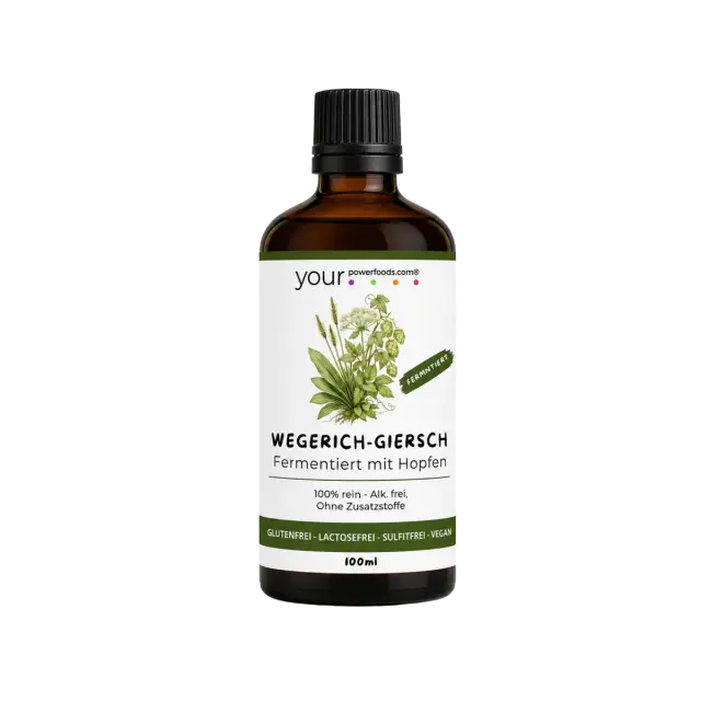 Wegerich-Giersch - Elixier, fermentiert, 100 ml