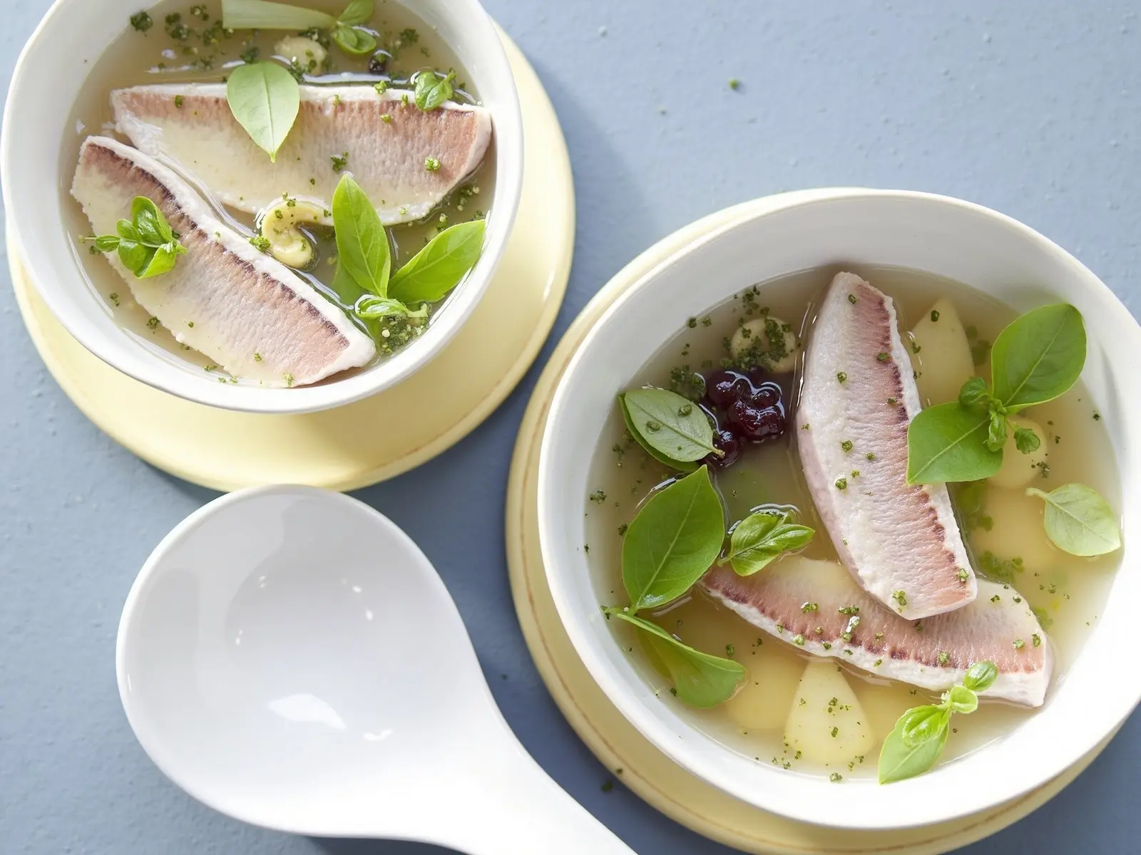 Rotbarbenfilets in aromatischem Ingwer-Sternanis-Sud
