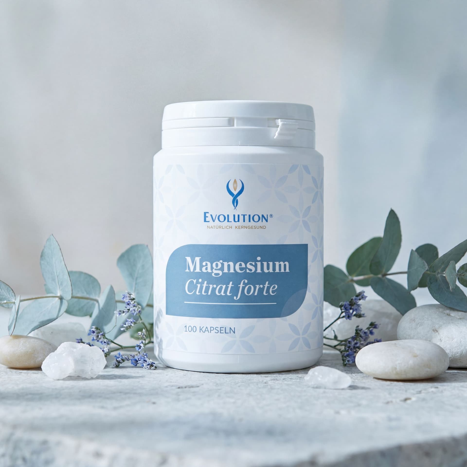 Magnesium Citrat forte, 100 Kapseln