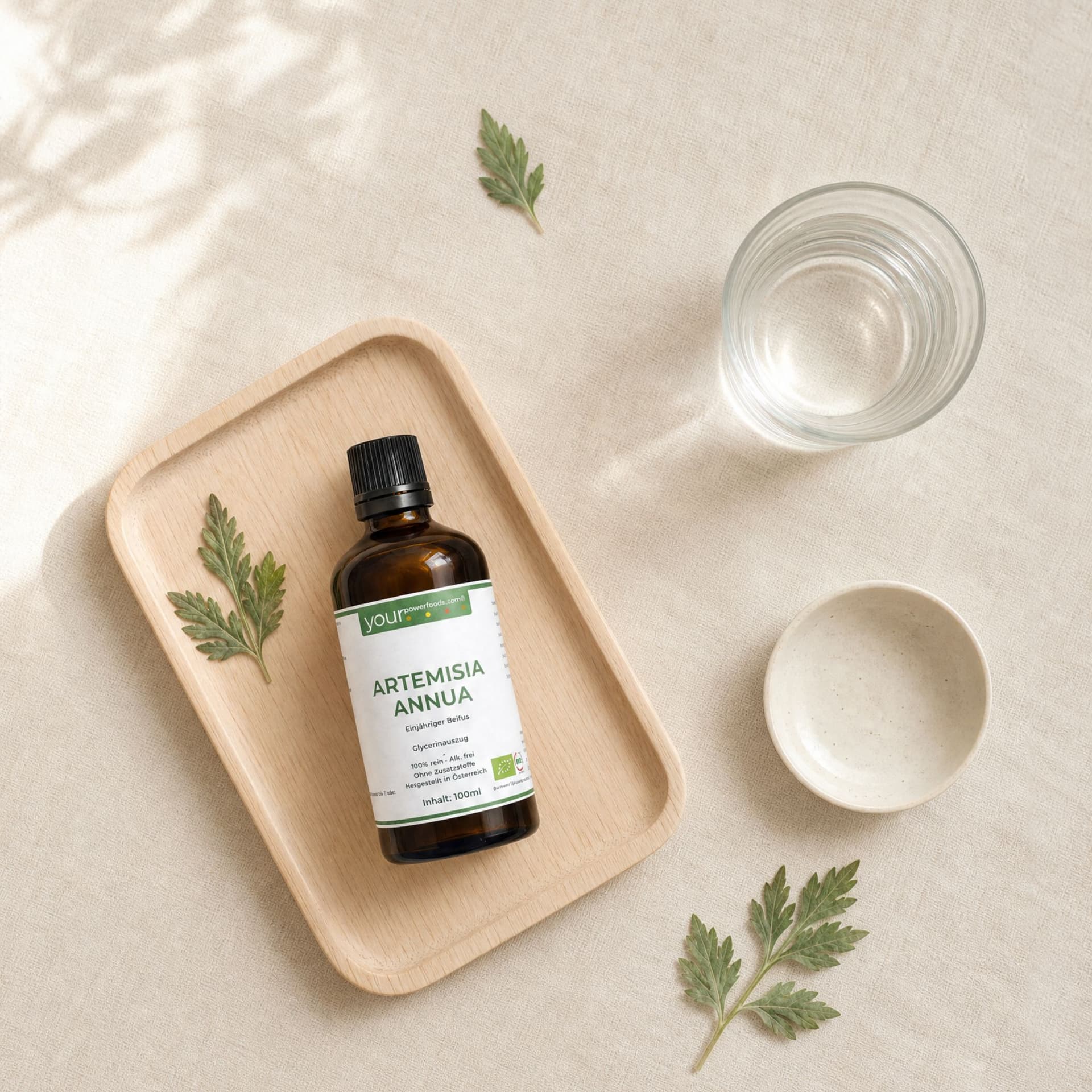 Artemisia Annua, Einjähriger Beifuss, alkoholfrei, 100ml
