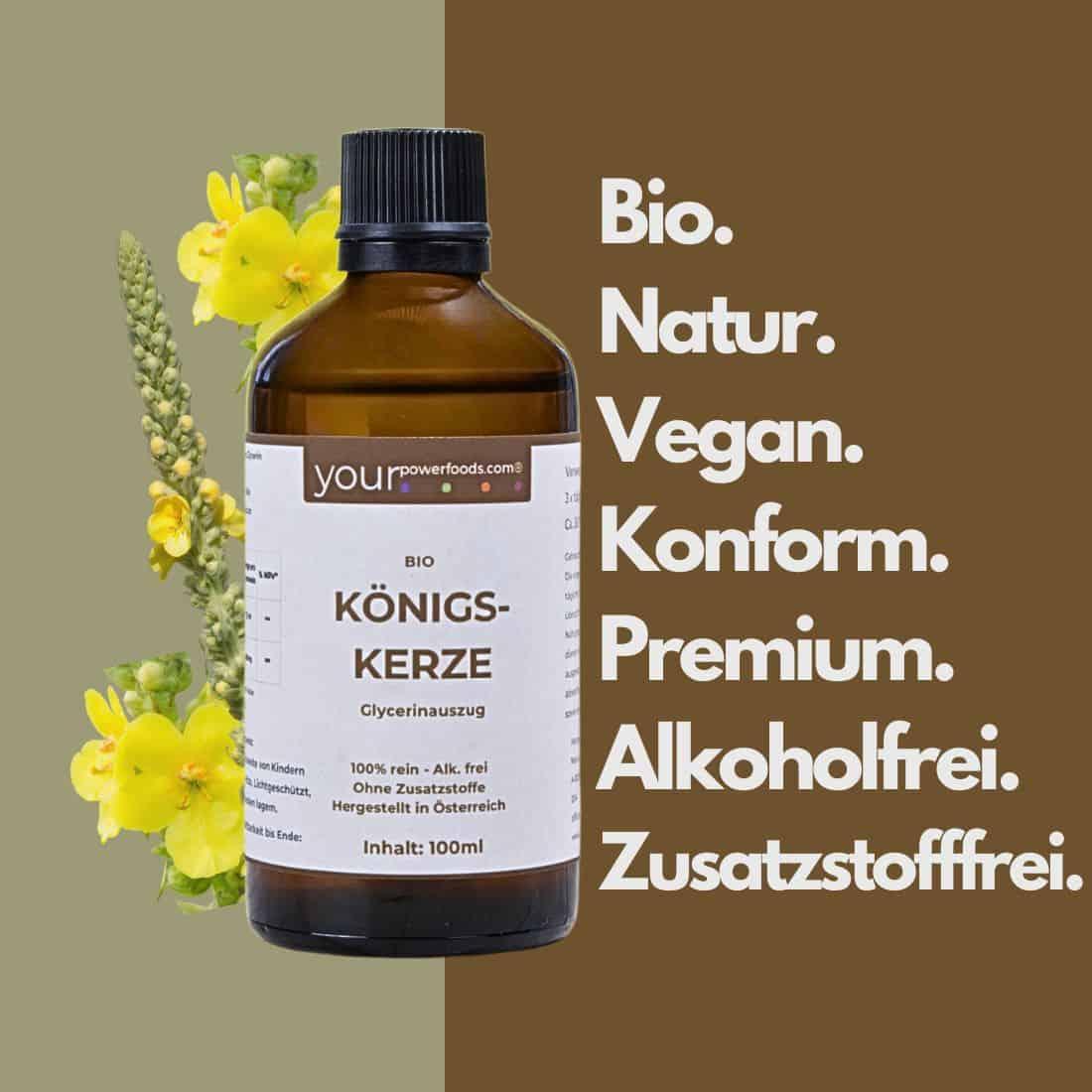 Bio Königskerze Tinktur – konform, alkoholfrei,100ml