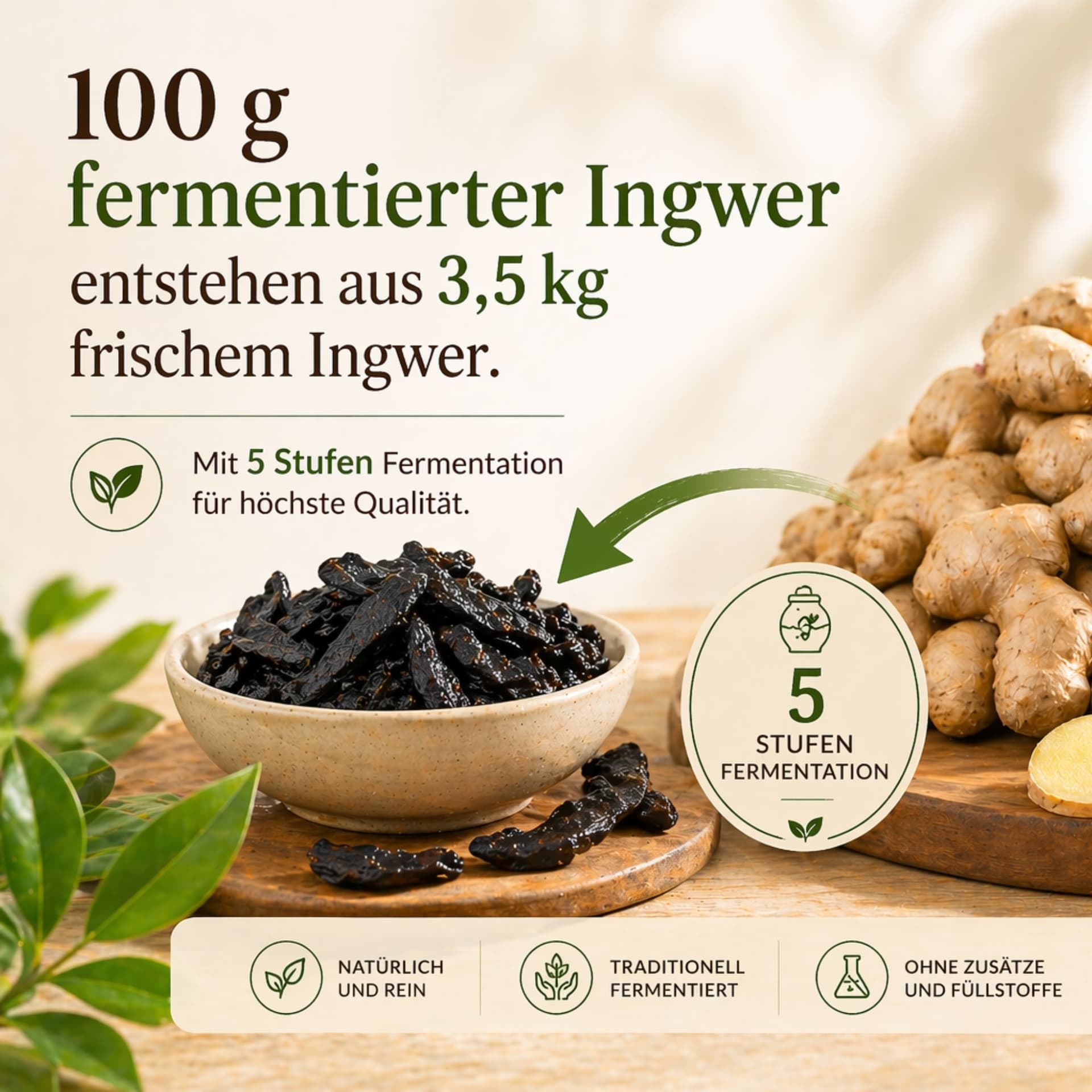 Fermentirani đumbir 100g Premium kvalitete – Infografika: 100g fermentiranog đumbira dobiva se od 3,5 kg svježeg đumbira, 5-stupanjski proces