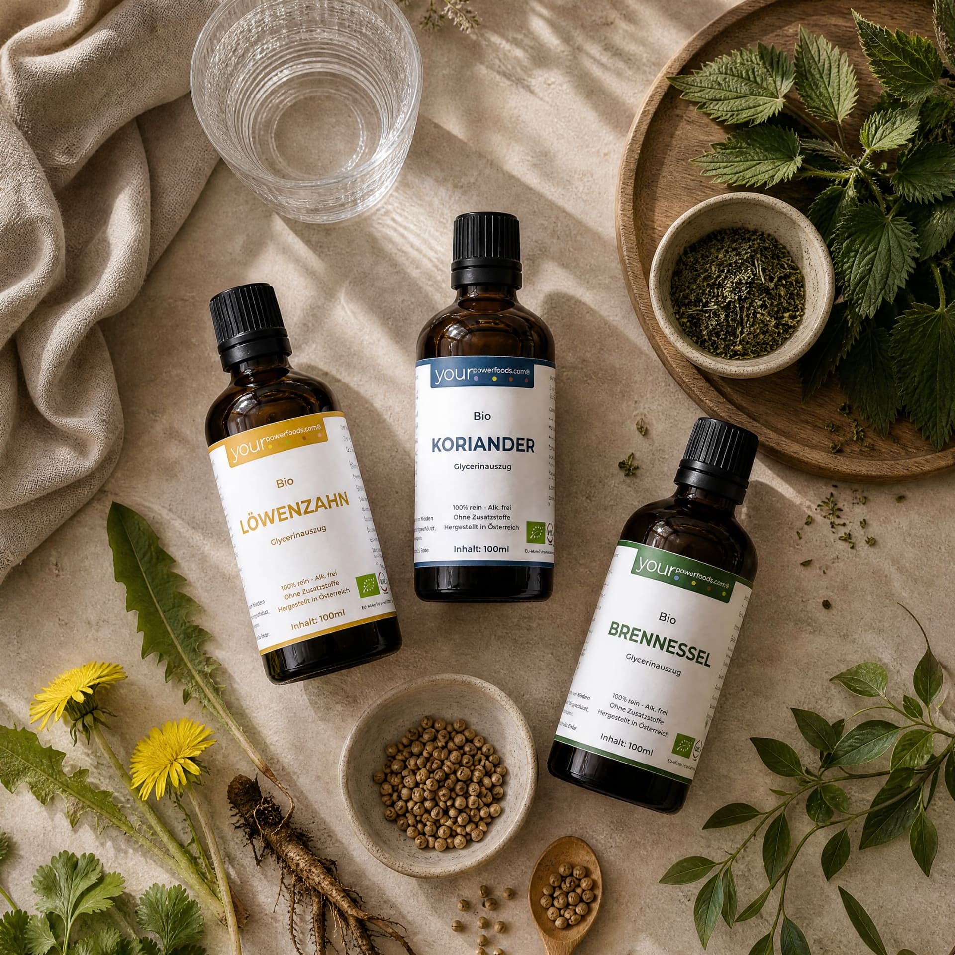 Detox Balance Bundle – tri smeđe bočice s kapaljkom, organski maslačak, korijander i kopriva na prirodnoj kamenoj podlozi s biljem