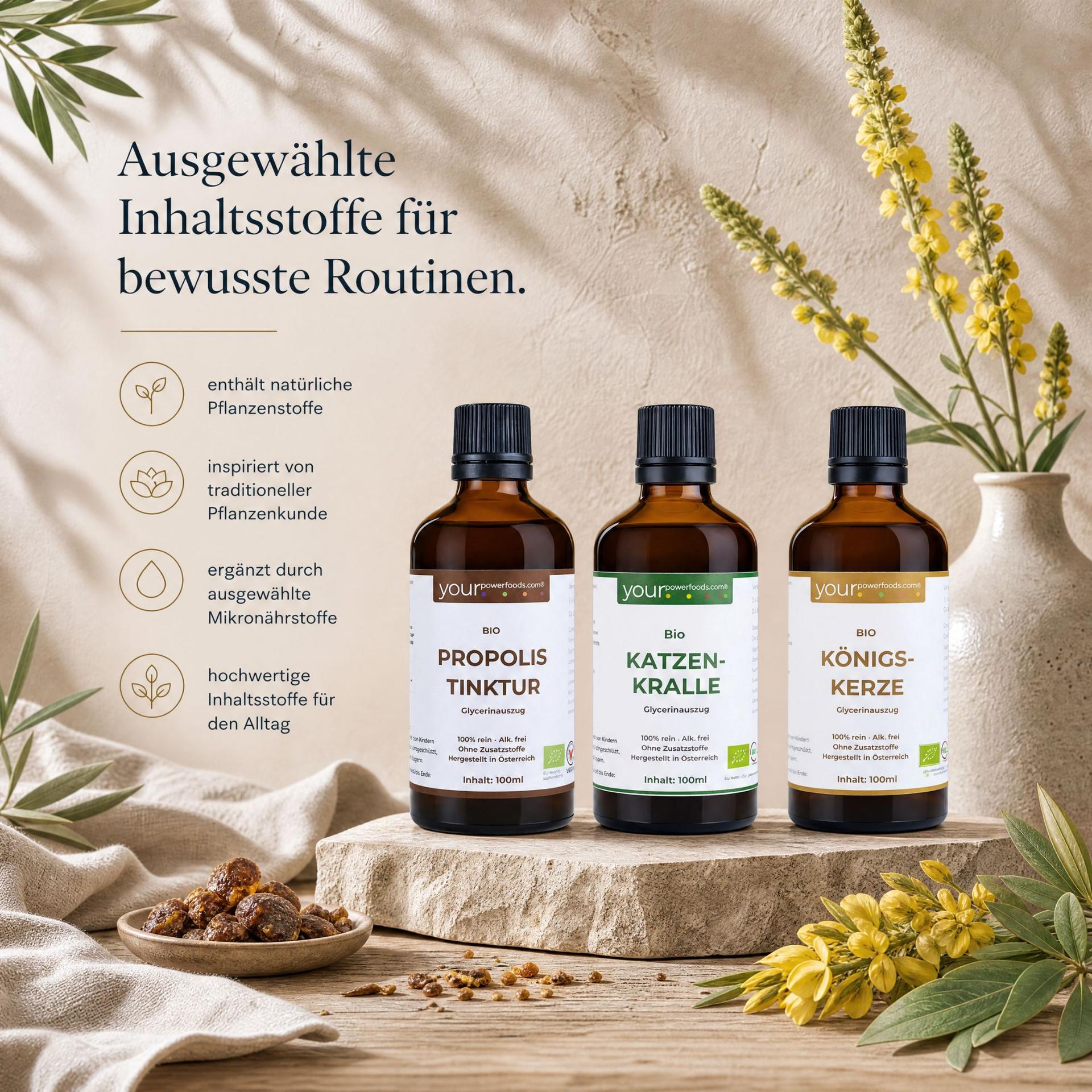 Immun Balance Bundle - Königskerze, Katzenkralle & Propolis