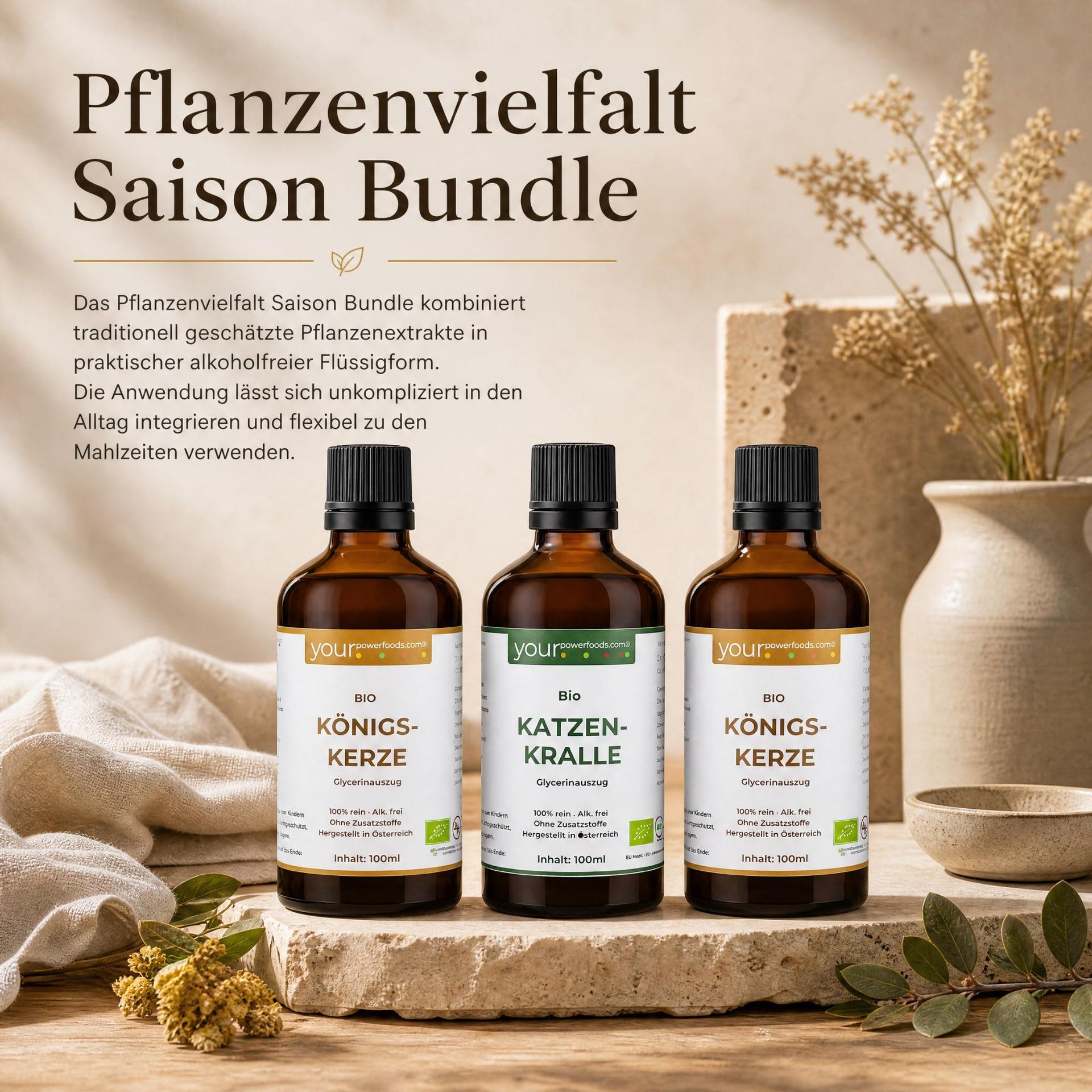 Saisonales Pflanzenbundle für Winter & Frühling