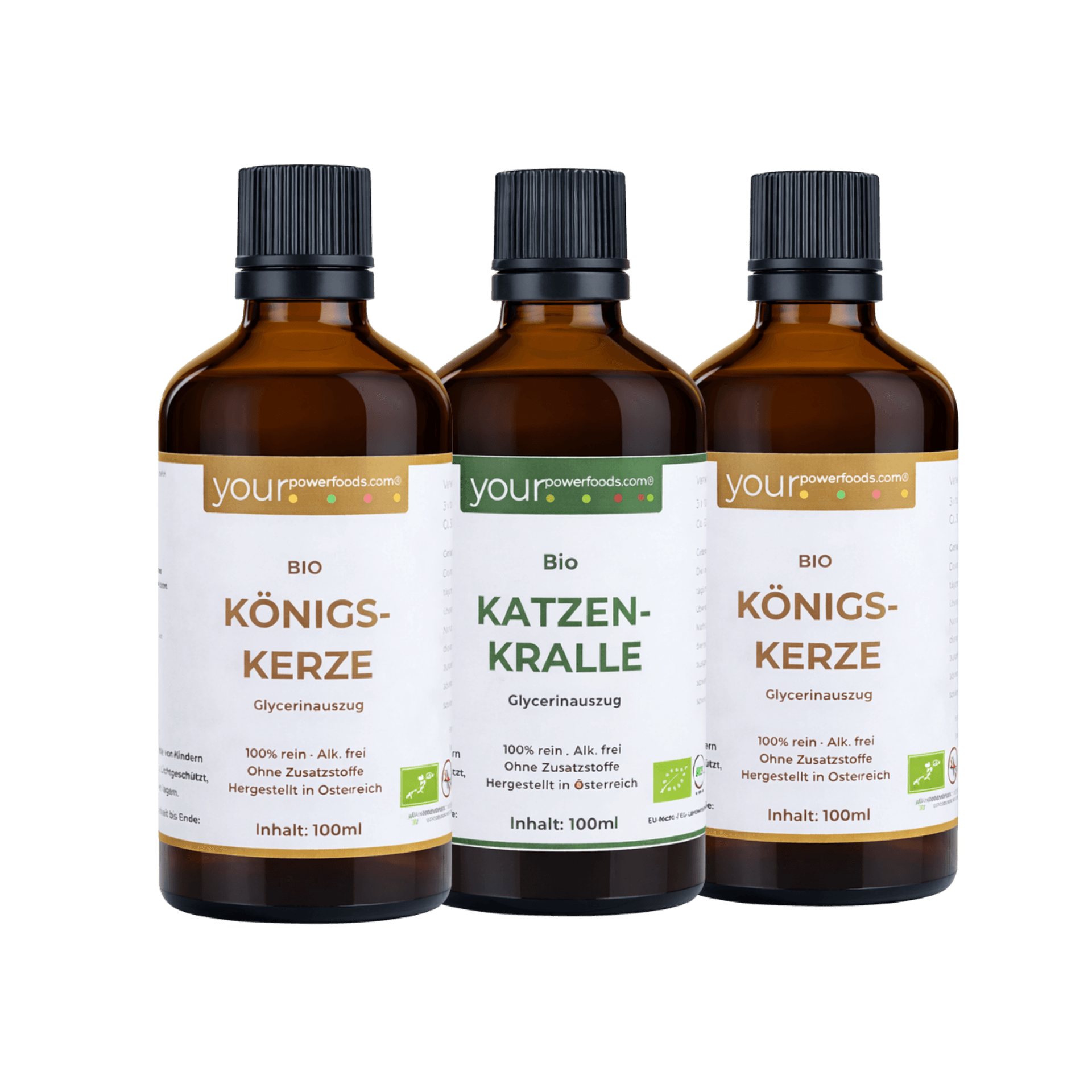 Saisonales Pflanzenbundle für Winter & Frühling