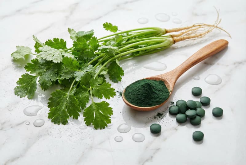 Permakultur: Prinzipien, Methoden & Vorteile im Überblick – YourPowerFoods Blog