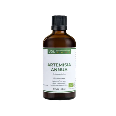 Artemisia Annua, Einjähriger Beifuss, alkoholfrei, 100ml