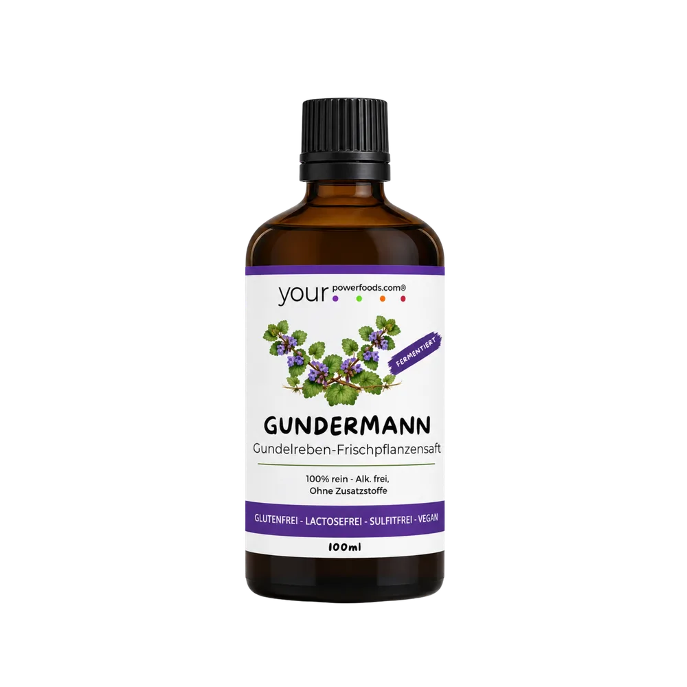 Gundermann - Eliksir, fermentiran, 100 ml