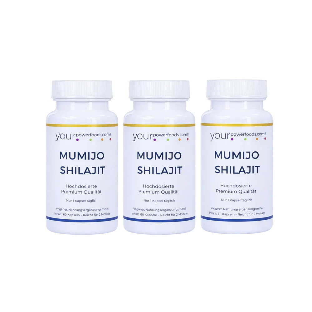 Mumijo Shilajit – 500 mg po kapsuli, povoljni set 2+1 gratis