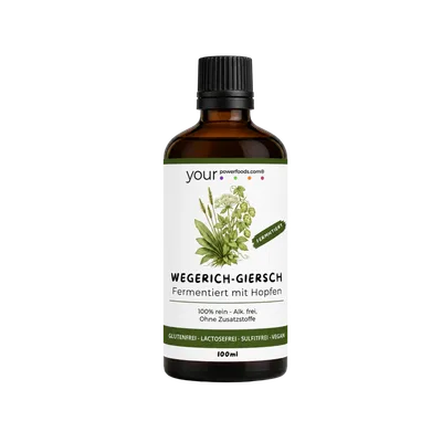 Wegerich-Giersch - Elixier, fermentiert, 100 ml Wegerich-Giersch - Elixier, fermentiert, 100 ml