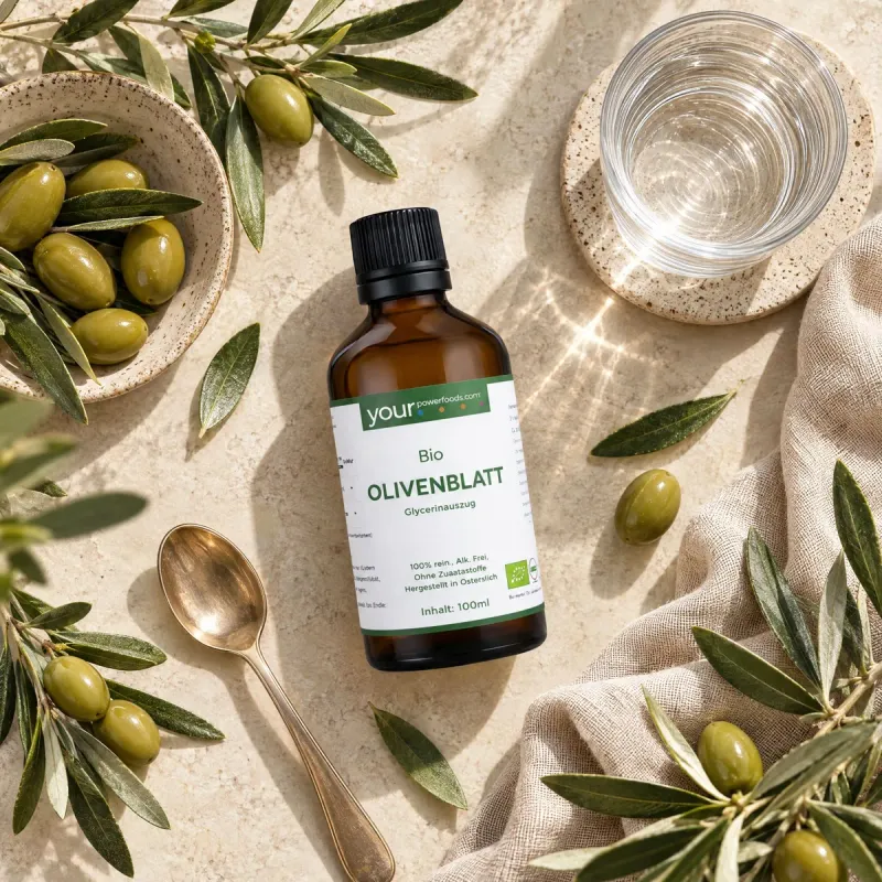 Bio Olivenblatt Tinktur, alkoholfrei, 100 ml – Produktbild 2