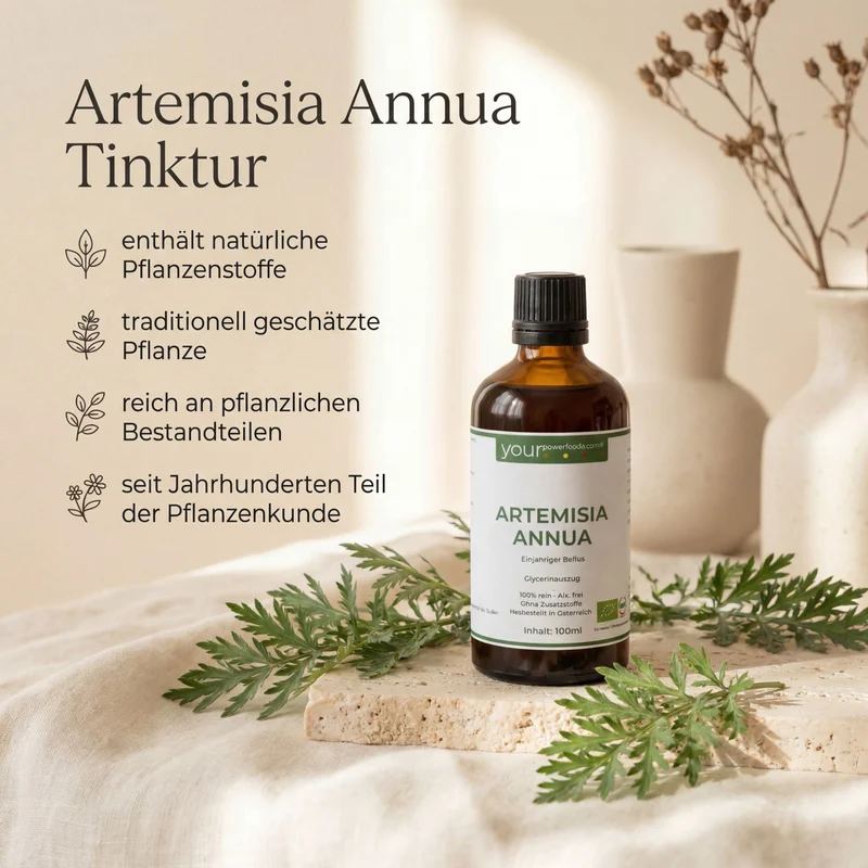Artemisia Annua jednogodišnji pelin bez alkohola 100 ml – infografika s hrvatskim natuknicama o biljnim spojevima, bočica i