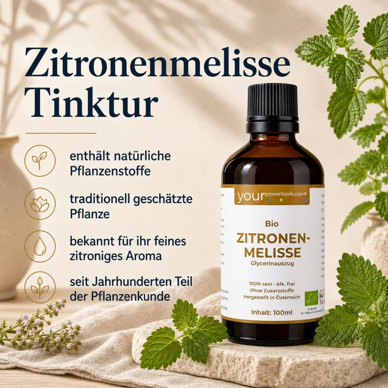 Organski maslačak – bez alkohola, Lemon Balm, 100ml: infografika s bočicom od smeđeg stakla, svježim listovima maslačka i