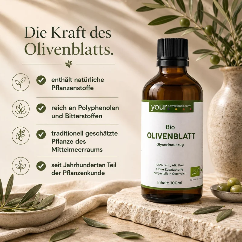 Bio Olivenblatt Tinktur, alkoholfrei, 100 ml – Infografik mit Braunglasflasche, Olivenzweigen und deutschen Stichpun
