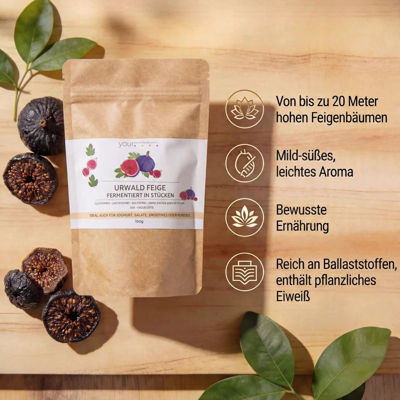 Urwaldfeige fermentirana 100 g Premium kvaliteta – Infografika s vrećicom, sušenim smokavama i hrvatskim ključnim točkama o