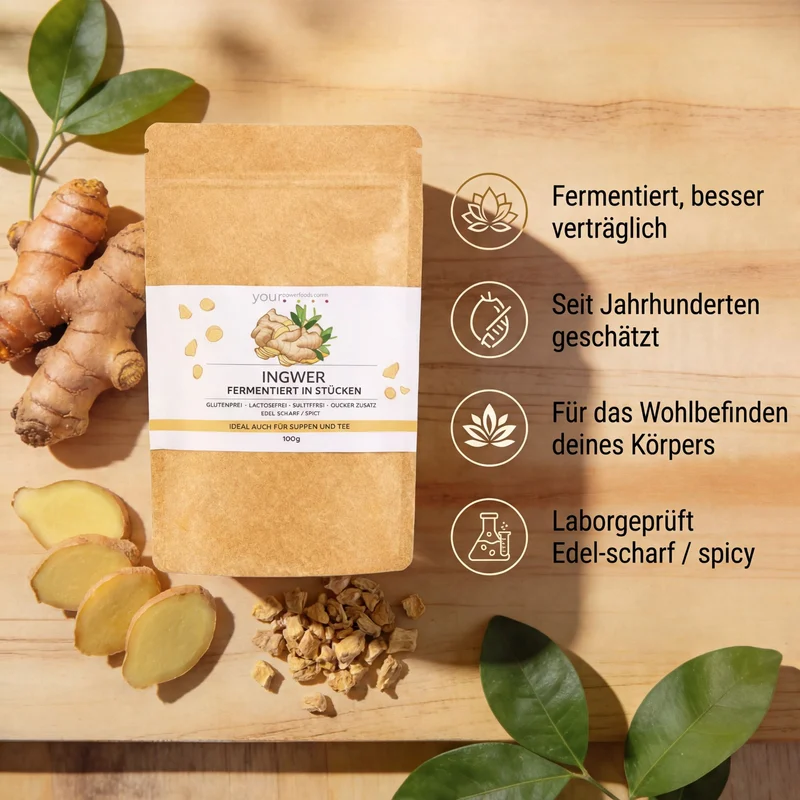 Fermentiran đumbir 100g premijska kvaliteta – infografska slika s vrećicom za stajanje, svježim korijenjem đumbira i četiri njemačka proizvoda