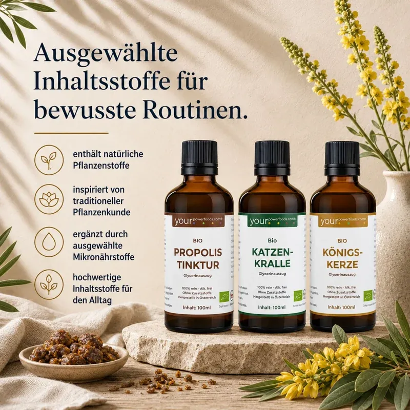 Immun Balance Bundle – Königskerze, Katzenkralle & Propolis: drei Braunglas-Tinkturen auf Stein, Infografik mit Pflanzenstoff