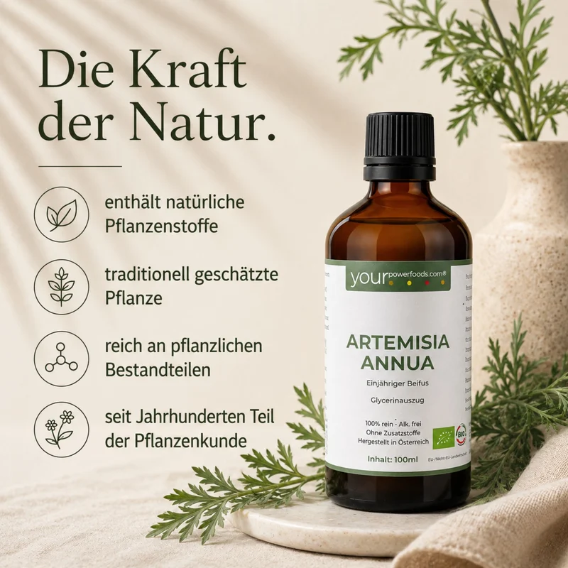 Phyto Kompleks Premium - Korijen karde • Artemisia Annua • Mačja kandža – infografika s bočicom i natuknicama o biljnom porijeklu