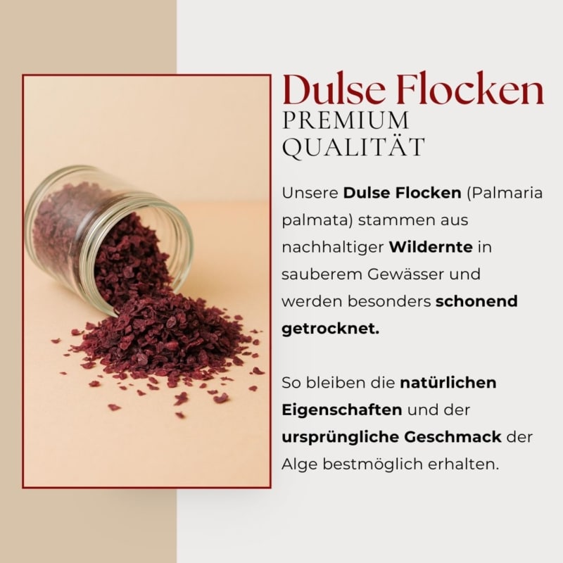 YPF Dulse 02