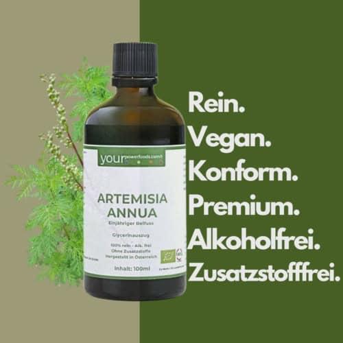 Artemisia Annua, Einjähriger Beifuss, alkoholfrei, 100ml