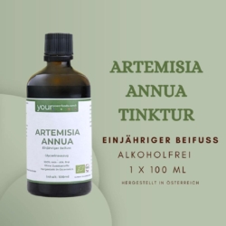 Artemisia Annua, Einjähriger Beifuss, alkoholfrei, 100ml