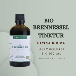 Brennessel 04