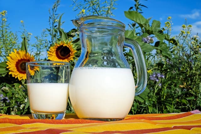 Wie viel Spermidin findest du in Milchprodukten? Wie viel Spermidin findest du in Milchprodukten?