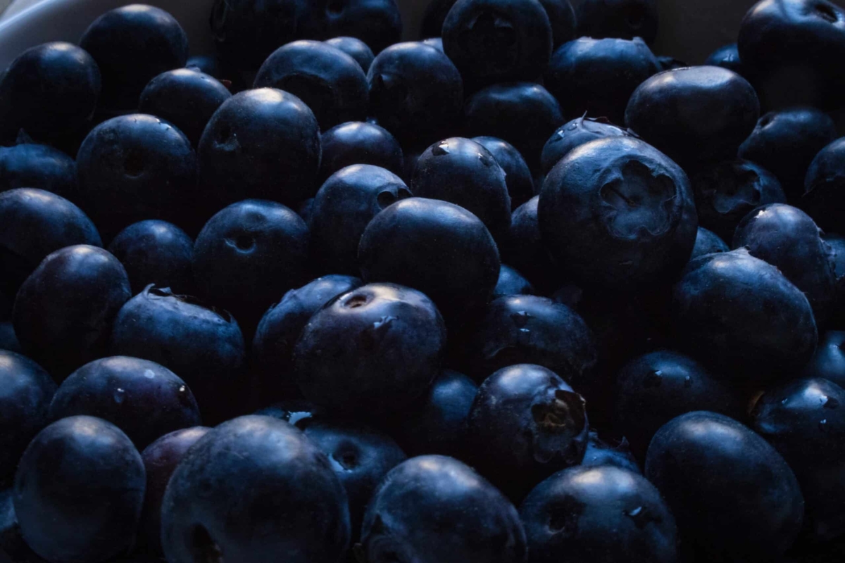 Waldheidelbeeren und ihr Beitrag zur Herzgesundheit