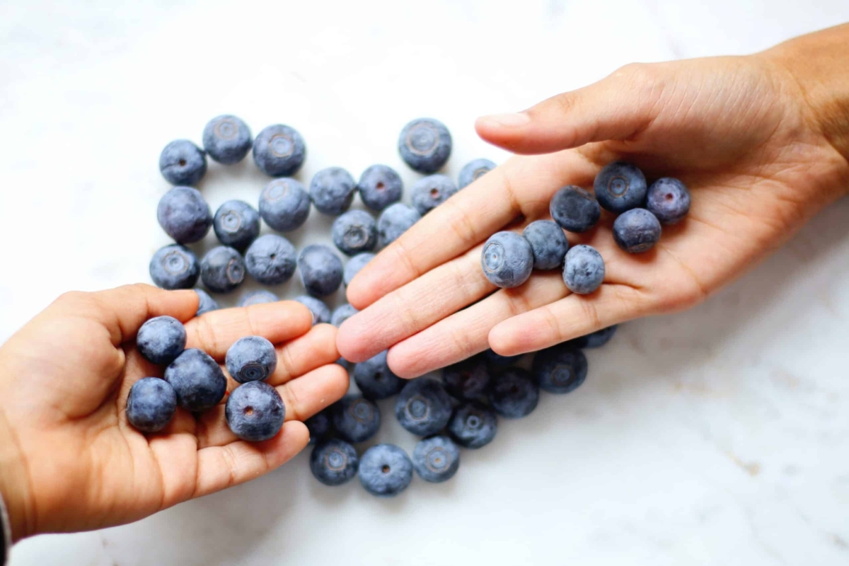 Waldheidelbeerenrezepte für den Sommer Von Smoothies bis zu Desserts
