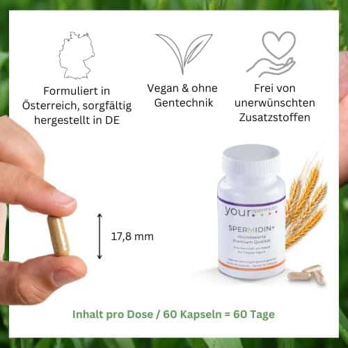 Spermidin hochdosiert vorteile (2) Spermidin hochdosiert vorteile 2