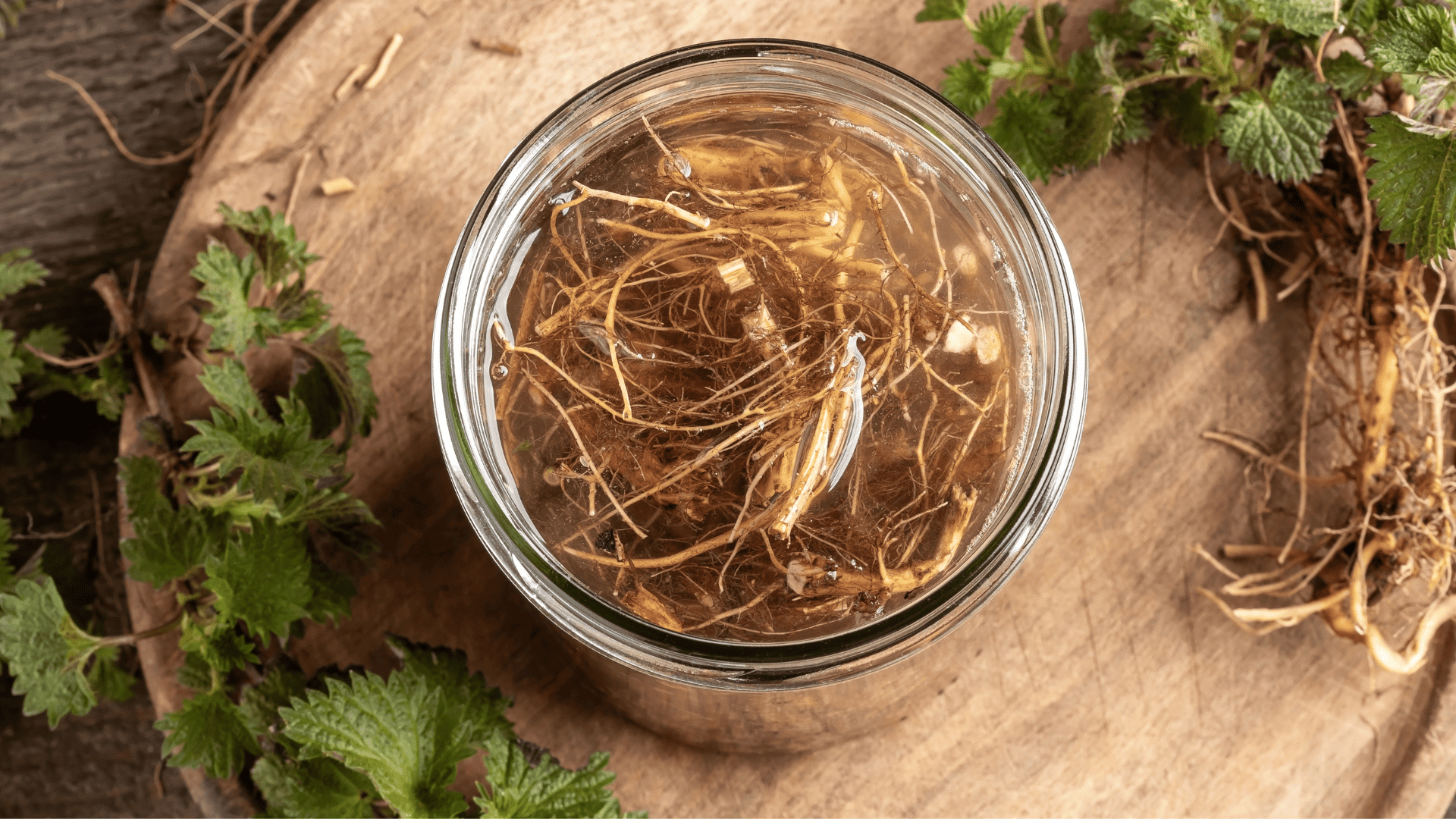 Brennesseltinktur und Haarausfall Kann sie das Haarwachstum fördern