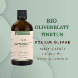 Olivenblatt 03