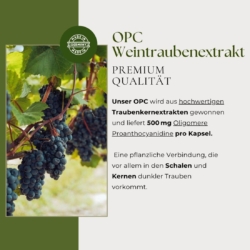 OPC 02 2